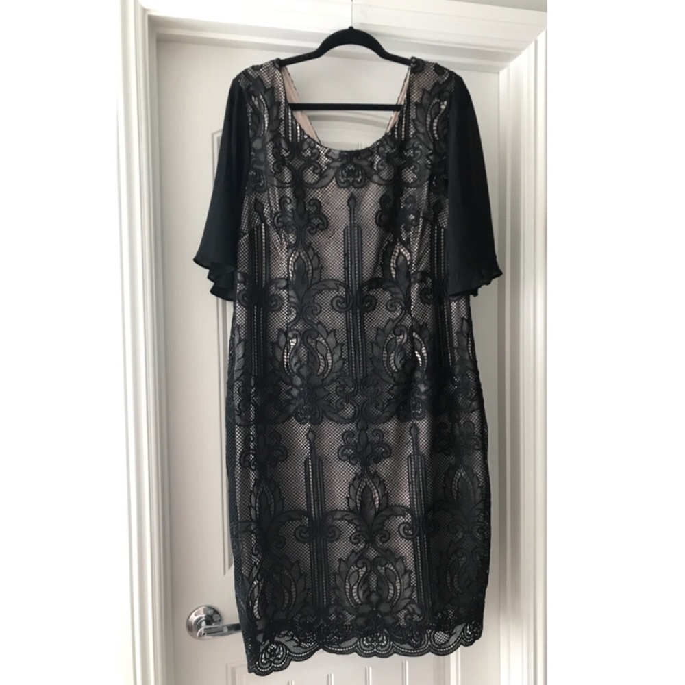 Lace Dress - Picture 5 of 8